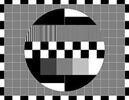 Diversiteit. Een kwalijk substituut voor gelijkheid. Diversiteit