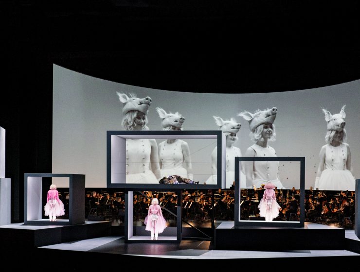 Der Zwerg is een vogel Der Zwerg