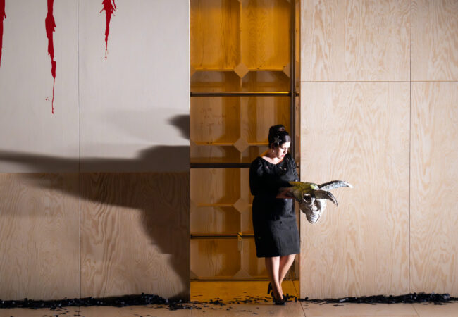 I Capuleti e i Montecchi I Capuleti e i Montecchi.