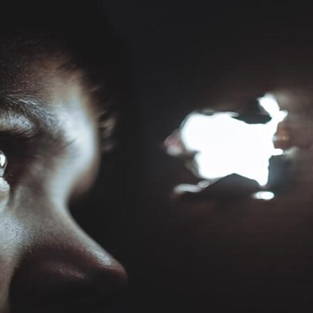 The Secret Opera Lover