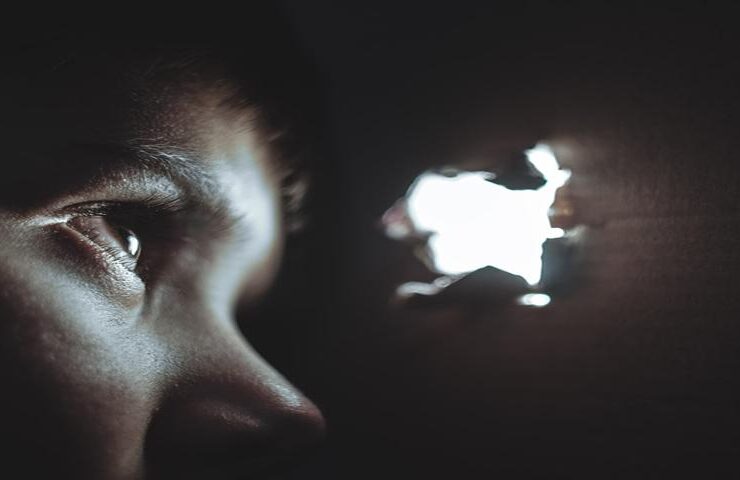 The Secret Opera Lover The Secret Opera Lover